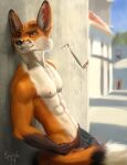  anthro bottomwear canid canine clothing fox hi_res male mammal muscular nipples pants solo swish whiskers 