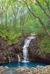  blue_sky bridge day no_humans original outdoors pond rock scenery signature sky spring_(season) suupii tree water waterfall 