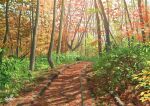  autumn autumn_leaves dappled_sunlight day forest landscape leaf maple_leaf nature no_humans original outdoors path scenery signature sunlight suupii 