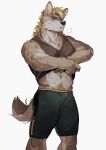  1boy animal_ears bara bare_arms black_shorts blonde_hair blush body_fur brown_fur bulge clothes_lift dog_boy dog_ears dog_tail facial_hair feet_out_of_frame furry furry_male goatee highres looking_at_viewer male_focus midriff_peek muscular muscular_male navel navel_hair original pectoral_cleavage pectorals seato-hao shirt_lift short_hair shorts sleeveless snout solo sweat tail thick_eyebrows thick_thighs thighs tight 