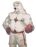  1boy abs animal_ears bara bear_boy bear_ears body_fur boxing_gloves bulge chest_hair feet_out_of_frame furry furry_male gloves highres large_pectorals male_focus muscular muscular_male navel navel_hair nipples original pectorals plump red_gloves seato-hao short_hair shorts smile snout solo stomach topless_male white_background white_shorts wrestling_outfit 