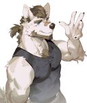  1boy animal_ears bandaid bandaid_on_nose bara beard beige_fur black_tank_top blue_eyes blue_sclera body_fur brown_hair chest_hair colored_sclera dog_boy dog_ears facial_hair from_above furry furry_male highres large_pectorals looking_at_viewer male_focus mature_male medium_hair muscular muscular_male original pectorals seato-hao snout solo tank_top thick_eyebrows tied_hair tusks waving 