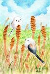  animal animal_focus artist_name bird cloud commentary_request grass highres looking_at_another no_humans original plant sinsousui sky 