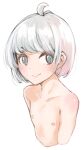  ahoge bangs blue_eyes closed_mouth collarbone comah cropped_torso eyebrows_visible_through_hair looking_at_viewer nipples nude original simple_background smile upper_body white_background white_hair 