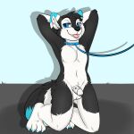  absurd_res anthro arulouprouge caged collar hi_res leash male male/male solo submissive submissive_male 
