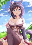  1girl :d animal_ears bangs black_hair black_legwear black_sleeves blue_eyes blue_sky blush breasts cleavage cloud commentary_request day eishin_flash_(umamusume) eyebrows_visible_through_hair hair_between_eyes hand_up highres horse_ears horse_girl horse_tail knee_up layered_sleeves long_sleeves medium_breasts outdoors puffy_short_sleeves puffy_sleeves red_skirt short_over_long_sleeves short_sleeves sitting skirt sky smile solo striped striped_skirt tail teeth thighhighs umamusume upper_teeth vertical-striped_skirt vertical_stripes white_sleeves zenon_(for_achieve) 