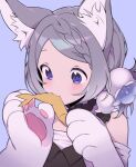  1girl animal_ears animal_hands bangs blue_background braid cat_ears cat_girl cat_paws character_request choker eating flower frilled_choker frills gloves grey_hair hair_flower hair_ornament mono_(mono_zzz) original paw_gloves purple_eyes short_hair simple_background solo 