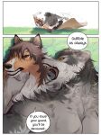  aman_(weibo) angry anthro brown_body brown_fur canid canine canis comic domestic_dog duo edit english_text fight fur grey_body grey_fur hard_translated herding_dog humanoid_hands lying male mammal muscular muscular_male outside pastoral_dog text translated wolf 