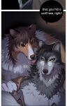  aman_(weibo) anthro biped black_nose brown_body brown_fur canid canine canis comic domestic_dog duo edit english_text eyewear fur glasses grey_body grey_fur hard_translated herding_dog humanoid_hands licking male mammal pastoral_dog text tongue tongue_out translated 