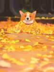  :3 animal animal_focus autumn autumn_leaves blurry blurry_background blurry_foreground closed_mouth collar dog english_commentary highres looking_at_viewer no_humans original painting red_collar sketch snatti tree welsh_corgi 