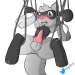  animal_genitalia animal_penis anus balls blush canine_penis entangled erection feral genitals hugo_the_riolu hugoriolu knot male nintendo penis pok&eacute;mon pok&eacute;mon_(species) restricted_palette riolu rope simple_background solo video_games white_background 