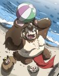  2022 anthro ashigara asian_clothing ball beach beach_volleyball belly blood bodily_fluids brown_body canid canine canis clothing detailed_background domestic_dog east_asian_clothing fundoshi goemon_(tas) group hi_res hon55728 humanoid_hands japanese_clothing kemono lifewonders male mammal moobs moritaka nipples nosebleed one_eye_closed outside overweight overweight_male raccoon_dog red_clothing red_fundoshi red_underwear sea seaside tanuki tokyo_afterschool_summoners underwear ursid video_games water wink 