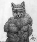  abs anthro biceps big_muscles canid canine fox hair huge_muscles jugg4 licking looking_at_viewer male mammal muscular muscular_anthro muscular_male nipples pecs solo teeth tongue tongue_out triceps veiny_muscles veiny_skin 