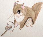  ahoge animal animal_focus antenna_hair bird black_eyes bow bowtie closed_mouth commentary_request fluefluekoubo26 highres long-tailed_tit looking_at_another no_humans original painting_(medium) signature simple_background squirrel traditional_media watercolor_(medium) white_background 
