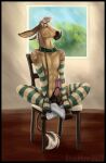  asinus clothing collar donk donkey equid equine footwear girly jack_(disambiguation) leash mammal palomino socks 