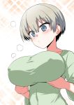  blue_eyes blush breast_hold breasts commentary_request covered_nipples erect_nipples eyebrows_visible_through_hair green_shirt grey_hair hair_between_eyes hitotose_rin impossible_clothes impossible_shirt pout shirt short_hair simple_background solo taut_clothes upper_body uzaki-chan_wa_asobitai! uzaki_hana 