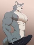  5_fingers anthro beastars bedroom_eyes big_pecs boxers_(clothing) bulge canid canine canis claws clothed clothing croiyan erection erection_pushing_underwear erection_under_clothing fingers fur grey_body grey_fur hi_res legoshi_(beastars) looking_at_viewer male mammal multicolored_body multicolored_fur muscular muscular_male narrowed_eyes nipples pecs pubes seductive solo tenting topless underwear white_body white_fur wolf 