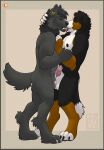  absurd_res animal_genitalia animal_penis anthro bernese_mountain_dog big_teeth black_body black_fur bodily_fluids brown_body brown_fur canid canine canine_penis canis domestic_dog duo ear_piercing ear_ring french_kissing frottage fur genital_fluids genitals grey_body grey_fur half-erect hi_res kissing kkrevv lucas_(lucasreturns) male male/male mammal molosser mountain_dog pawpads penis piercing pink_pawpads precum romantic sex sheath smile swiss_mountain_dog teeth_showing white_body white_fur wolf 