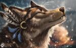  2022 ambiguous_gender brown_body brown_fur canid canine canis digital_media_(artwork) feral flashw fur headshot_portrait mammal portrait raining smile solo wolf 