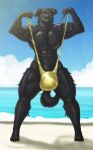 2018 anthro beach big_bulge black_body black_fur bulge canid canine canis clothing clothing_grab domestic_dog fan_character fangs front_view fur hi_res looking_at_viewer male mammal mankini muscular muscular_male outside seaside smile solo spread_legs spreading strap_pull xtrent968 yellow_clothing 
