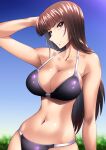  1girl arm_behind_head arm_up bangs bikini black_bikini blue_sky blunt_bangs breasts brown_eyes brown_hair clear_sky cleavage closed_mouth commentary_request eyebrows_visible_through_hair girls_und_panzer half-closed_eyes halterneck highres large_breasts long_hair looking_at_viewer miraino_tsubasa navel nishizumi_shiho partial_commentary skindentation sky smile solo standing straight_hair swimsuit 