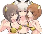  3girls animal_ears animal_print bangs bikini blue_eyes breasts brown_eyes brown_hair buchikaki claw_pose cleavage closed_mouth eyebrows_visible_through_hair frown girls_und_panzer half-closed_eyes halterneck itsumi_erika looking_at_viewer medium_breasts medium_hair multiple_girls navel nishizumi_maho nishizumi_miho open_mouth parted_lips print_bikini short_hair siblings side-by-side silver_hair simple_background sisters smile swimsuit symbol-only_commentary tiger_ears tiger_print white_background yellow_bikini 