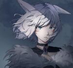  1girl absurdres animal_ears black_choker black_dress blue_eyes cat_ears choker closed_mouth commentary dress expressionless facial_mark final_fantasy final_fantasy_xiv fur-trimmed_dress fur_trim grey_background highres looking_at_viewer miqo&#039;te short_hair signature solo the_other_lilac twitter_username upper_body whisker_markings white_hair y&#039;shtola_rhul 