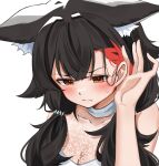  1girl animal_ear_fluff animal_ears bangs black_hair blush brown_eyes closed_mouth daichi_(daichi_catcat) hair_behind_ear hair_over_shoulder highres hololive long_hair looking_away multicolored_hair ookami_mio portrait red_hair see-through simple_background solo streaked_hair virtual_youtuber white_background wolf_ears 