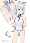  1girl animal_ears aruma_(sawayaka_tokuko_miruku) ass ass_visible_through_thighs bare_arms bare_legs bare_shoulders blue_eyes china_dress chinese_clothes closed_mouth dress flat_chest highres lifted_by_self multiple_views original panties pelvic_curtain silver_hair simple_background string_panties tail tiger_ears tiger_girl tiger_stripes tiger_tail underwear white_background 