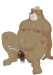  2019 absurd_res anthro ashigara balls belly blush bodily_fluids brown_body cum ejaculation erection eyes_closed genital_fluids genitals handjob hi_res humanoid_genitalia humanoid_hands humanoid_penis kemono lifewonders male mammal moobs navel nipples overweight overweight_male penile penis sex simple_background sitting solo_focus tokyo_afterschool_summoners ujishiyo ursid video_games white_background 