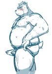  2019 absurd_res anthro ashigara belly blush bodily_fluids clothed clothing erection erection_under_clothing genitals hi_res humanoid_hands jockstrap kemono lifewonders male mammal moobs nipples overweight overweight_male penis simple_background sketch solo sweat tokyo_afterschool_summoners ujishiyo underwear ursid video_games white_background 