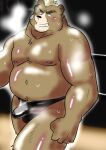  2019 absurd_res anthro ashigara belly blush bodily_fluids bulge clothing genital_outline hi_res humanoid_hands kemono lifewonders male mammal moobs navel nipples overweight overweight_male penis_outline solo sweat tokyo_afterschool_summoners ujishiyo underwear ursid video_games 