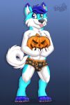  2022 anthro balls_outline biped black_clothing black_nose black_underwear blep blue_background blue_body blue_ears blue_eyes blue_fur blue_hair boxer_briefs bulge canid canine canis chest_tuft claws clothing detailed_bulge domestic_dog food fruit fur gaokun genital_outline hair halloween heterochromia hi_res holidays husky male mammal multi_tone_fur multicolored_ears nordic_sled_dog pawpads pink_pawpads plant pumpkin simple_background solo spitz toe_claws tongue tongue_out tuft two_tone_ears underwear watermark white_body white_fur 