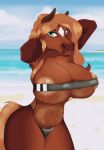  anthro areola areola_slip beach big_breasts breasts chubby_anthro chubby_female clothing equid equine female gris_swimsuit hi_res horse kizion_ksharr mammal meme meme_clothing one-piece_swimsuit rainstorm_(marefurryfan) seaside slightly_chubby solo swimwear translucent translucent_clothing translucent_swimwear 