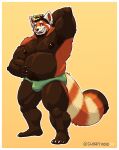 2022 ailurid anthro belly border brown_body bulge closetvoid clothing hi_res humanoid_hands male mammal nipples orange_body overweight overweight_male red_panda simple_background solo underwear white_border 