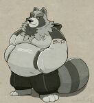  2022 anthro belly biped black_nose bottomwear canid canine clothing hi_res hoodie male mammal overweight overweight_male pants raccoon_dog runxforest simple_background solo tanuki topwear 