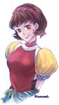  1girl breasts brown_eyes brown_hair closed_mouth gensou_suikoden gensou_suikoden_ii looking_at_viewer nanami_(suikoden) short_hair simple_background smile solo white_background 