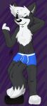  2015 anthro balls_outline beckoning biped black_body black_ears black_fur black_nose blue_clothing blue_underwear boxer_briefs bulge canid canine chest_tuft clothing detailed_bulge digitigrade dipstick_tail eyebrow_through_hair eyebrows fur gaokun genital_outline gesture grey_inner_ear hair hand_behind_head male mammal markings multicolored_body multicolored_fur one_eye_closed simple_background solo tail_markings translucent translucent_hair tuft two_tone_body two_tone_fur underwear watermark white_body white_fur white_hair wink 