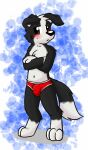  2015 anthro biped black_body black_ears black_fur blush briefs bulge canid canine clothing crossed_arms detailed_bulge digitigrade dipstick_tail floppy_ears fur gaokun genital_outline green_eyes male mammal markings red_clothing red_underwear shadow sheath_outline simple_background solo tail_markings underwear watermark white_body white_fur white_inner_ear 
