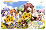  fuyou_kaede lisianthus nerine nishimata_aoi primula seifuku shigure_asa shuffle suzuhira_hiro 