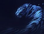  2022 alectorfencer ambiguous_gender blue_eyes digital_media_(artwork) felid feral mammal pantherine solo tiger 