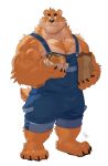  absurd_res anthro barefoot blue_clothing body_hair burger chest_hair chest_tuft claws clothing eating eyebrows feet food fur hi_res kumamoto_(character) male mammal muscular neck_tuft orange_body orange_fur overalls simple_background solo takemoto_arashi thick_eyebrows tuft ursid white_background 