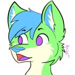 blue_hair blue_inner_ear blue_nose brisk_(brisky~) brisky~ canid canind canine canis fur green_body green_fur hair humor low_res male mammal meme pogchamp purple_eyes purple_tongue solo tongue white_body white_ear_fluff white_fur wolf 
