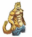  anthro big_muscles blue_clothing blue_eyes blue_underwear bulge clothing felid looking_up male mammal morenatsu muscular nipples pantherine pubes simple_background smile solo standing tiger tiluta torahiko_(morenatsu) underwear video_games visual_novel white_background 