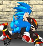  anal ancient-onyx anthro anus balls butt duo genitals hi_res male male/male penis sega shadow_the_hedgehog sonic_the_hedgehog sonic_the_hedgehog_(series) 