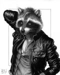  anthro clothing jacket joleii_(character) leather leather_clothing leather_jacket leather_topwear looking_at_viewer male ryngsraccoon solo topwear 