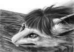  ambiguous_gender anthro dimasbka fur greyscale hair mammal monochrome out-of-placers realistic solo stuck traditional_media_(artwork) webcomic wood yinglet 