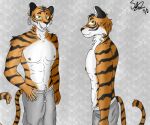  anthro beastars bill_(beastars) fanarts felid feline hi_res logansilver male male/male mammal muscular pantherine solo tiger undressed 