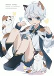  1boy animal_ears bandaged_leg bandages bare_legs bug butterfly cape cat cat_ears cat_tail child commentary_request eyebrows_visible_through_hair hair_between_eyes highres looking_at_viewer male_focus mikehakushaku original sitting solo_focus tail tongue tongue_out white_hair 