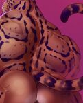  2022 anthro anus back_muscles barely_visible_anus benji_(character) big_butt brown_body brown_fur butt butt_focus clouded_leopard digital_media_(artwork) felid frown fur mainlion male mammal muscular muscular_anthro muscular_male nude pantherine presenting presenting_hindquarters rear_view simple_background solo spots spotted_body spotted_fur tan_body tan_fur 